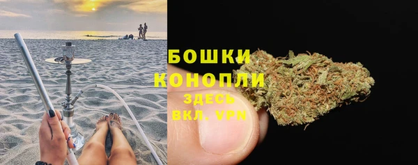 шишки Балахна