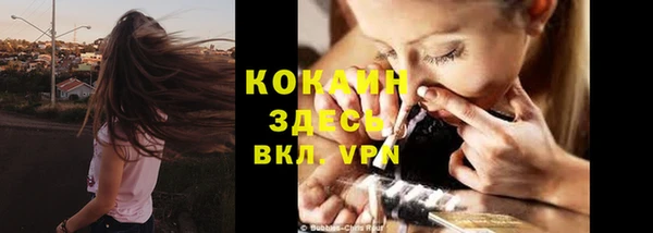 шишки Балахна