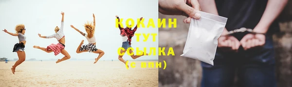 шишки Балахна