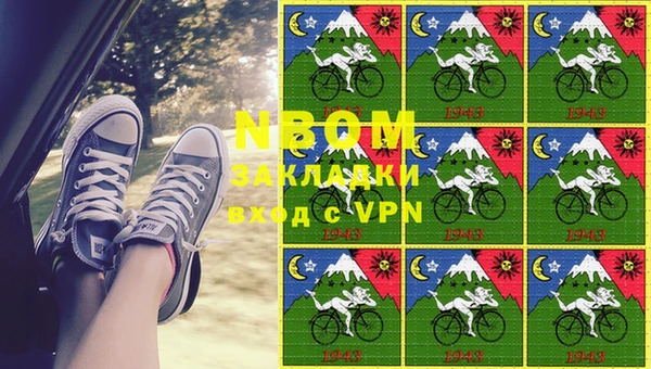 шишки Балахна