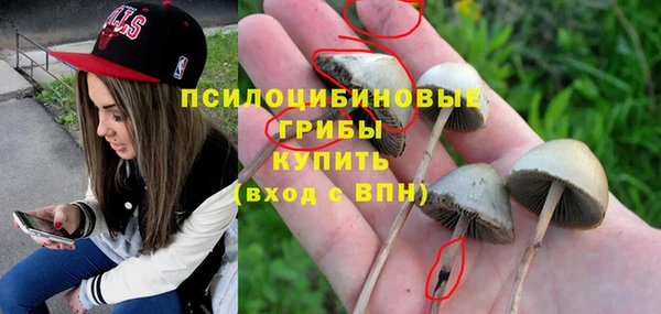 гашик Балабаново